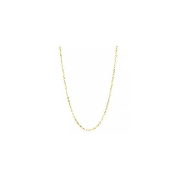 Necklace/Pendant Tom Cook Jeweler, Inc. Daytona Beach, FL