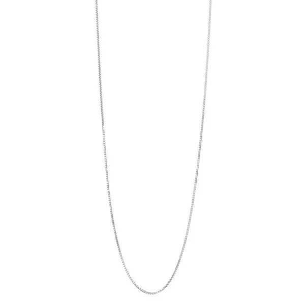Necklace/Pendant Tom Cook Jeweler, Inc. Daytona Beach, FL