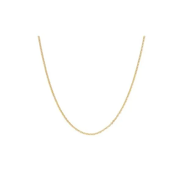 14K Yellow Gold Cable Chain Necklace/Pendant Tom Cook Jeweler, Inc. Daytona Beach, FL