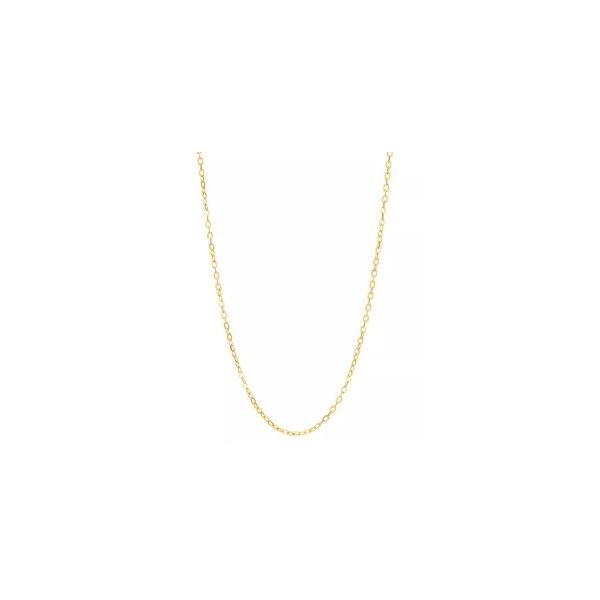 Necklace/Pendant Tom Cook Jeweler, Inc. Daytona Beach, FL