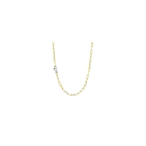 Necklace/Pendant Tom Cook Jeweler, Inc. Daytona Beach, FL