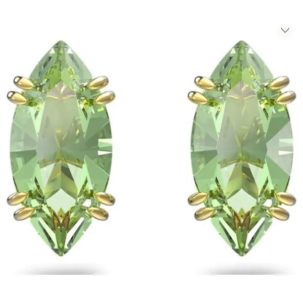 Swarovski Tom Cook Jeweler, Inc. Daytona Beach, FL