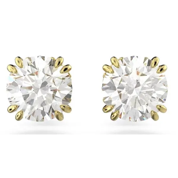 Swarovski Tom Cook Jeweler, Inc. Daytona Beach, FL