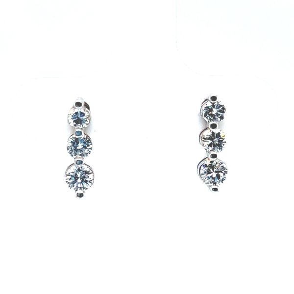 14 Karat White Gold Diamond Drop Earrings Toner Jewelers Overland Park, KS