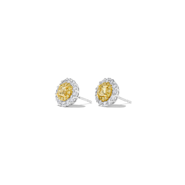 14k Yellow and White Double Halo Diamond Studs Image 2 Toner Jewelers Overland Park, KS