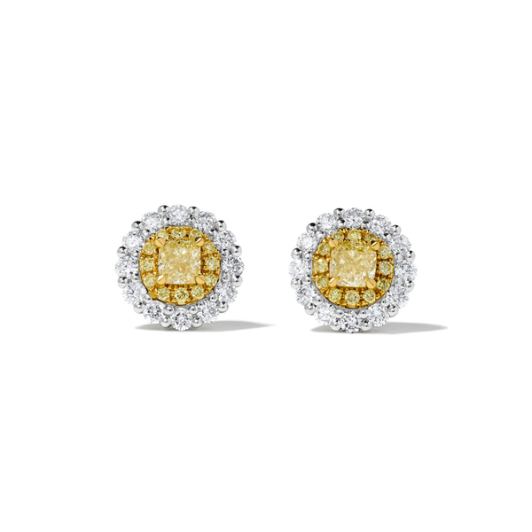 14k Yellow and White Double Halo Diamond Studs Toner Jewelers Overland Park, KS