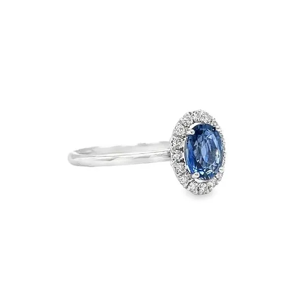 14k White Gold Sapphire and Diamond Ring Image 2 Toner Jewelers Overland Park, KS