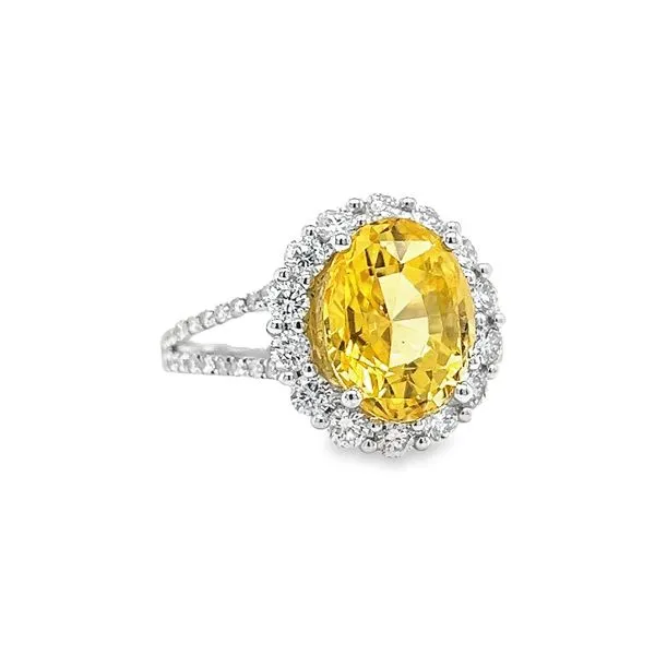 14k White Gold Yellow Sapphire and Diamond Ring Image 2 Toner Jewelers Overland Park, KS