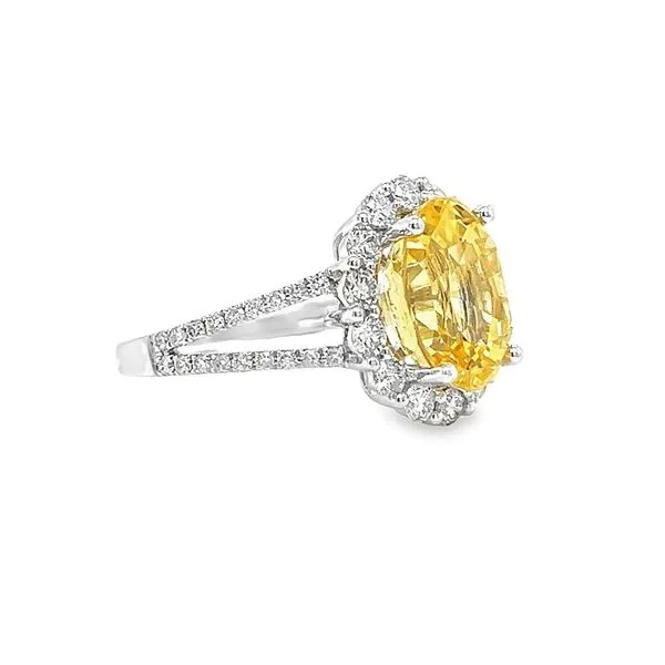 14k White Gold Yellow Sapphire and Diamond Ring Image 3 Toner Jewelers Overland Park, KS