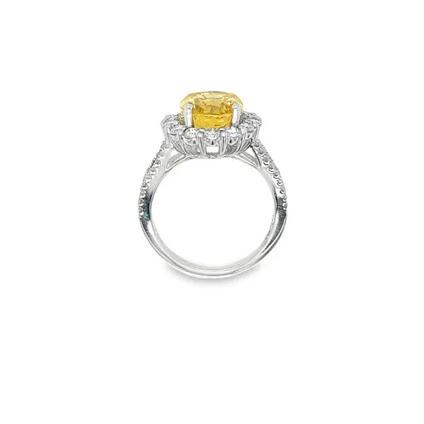 14k White Gold Yellow Sapphire and Diamond Ring Image 4 Toner Jewelers Overland Park, KS