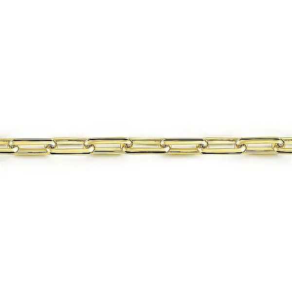 Gabriel & Co. 14K Yellow Gold Chain Bracelet Image 2 Toner Jewelers Overland Park, KS