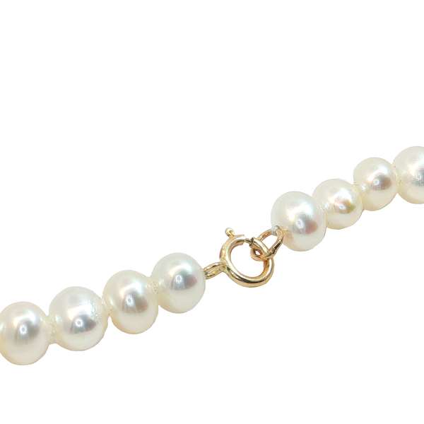 Strand Image 2 Towne Square Jewelers Charleston, IL