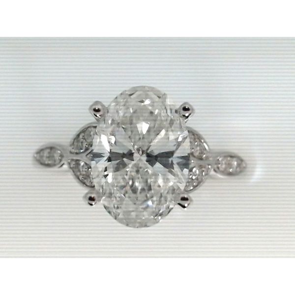 LG Diamond Engagement Ring Masterpiece Jewelers  Daytona Beach, FL