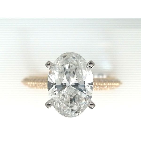 LG Diamond Engagement Ring Masterpiece Jewelers  Daytona Beach, FL
