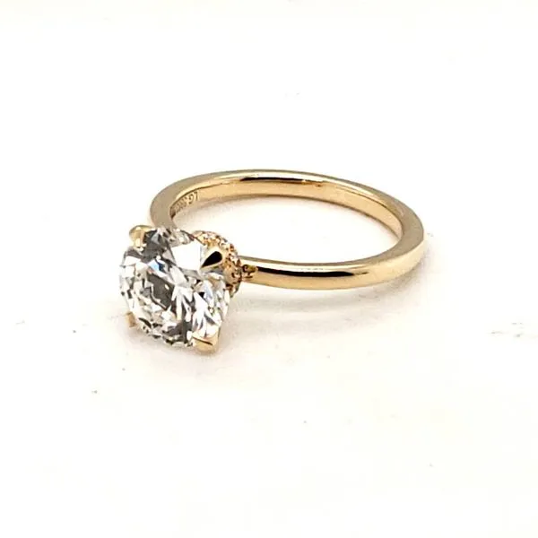 14 Karat Yellow Gold Lab Grown Round Diamond Hidden Halo Engagement Ring Trinity Jewelers  Pittsburgh, PA