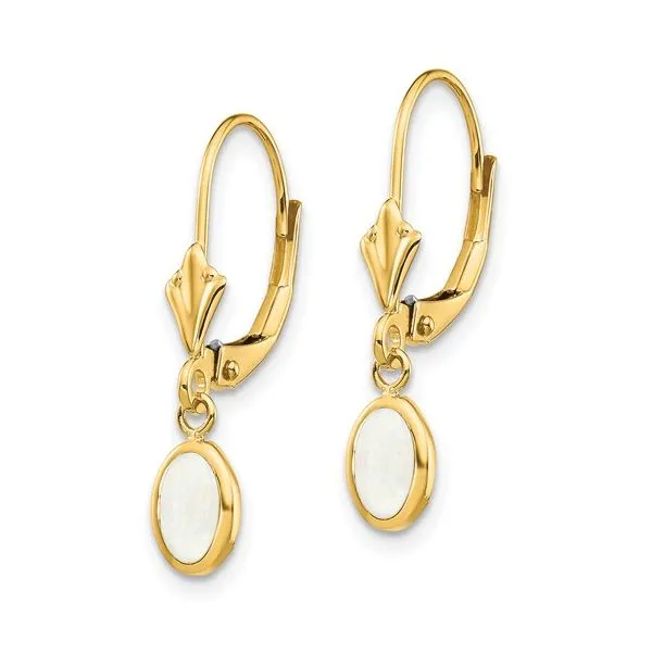 14 Karat Yellow Gold Opal Earrings Trinity Jewelers  Pittsburgh, PA