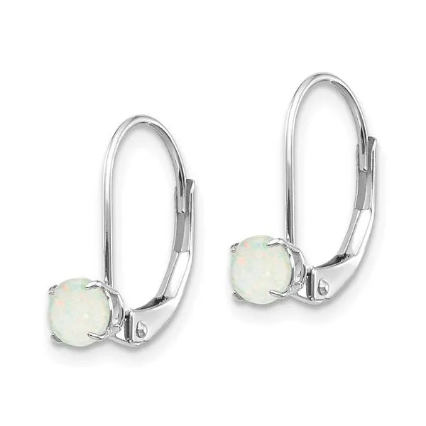 14 Karat White Gold Opal Earrings Trinity Jewelers  Pittsburgh, PA