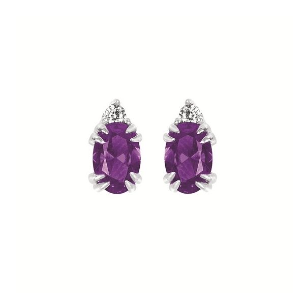 10 Karat White Gold Diamond & Amethyst Birthstone Earrings Trinity Jewelers  Pittsburgh, PA
