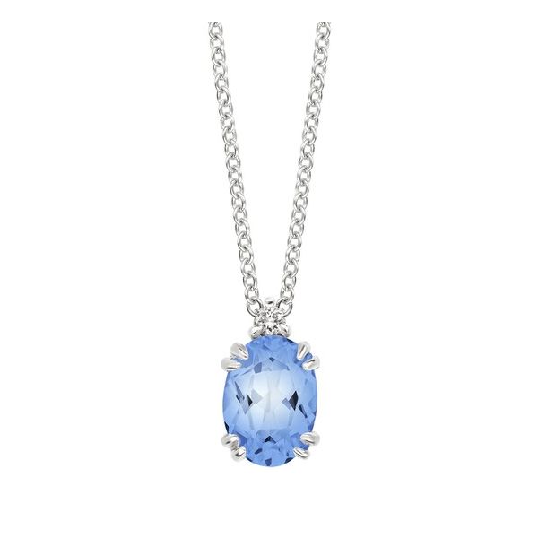 10 Karat White Gold Created Aquamarine & Diamond Pendant Trinity Jewelers  Pittsburgh, PA