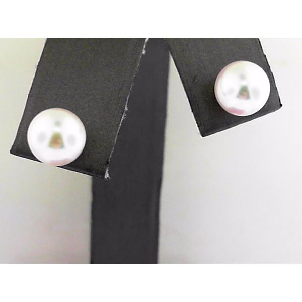 14 Karat Yellow Gold 7MM Akoya Pearl Earring Trinity Jewelers  Pittsburgh, PA