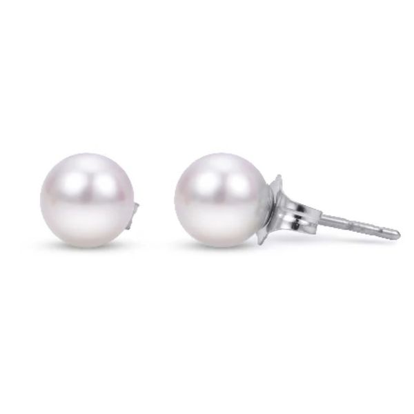 14 Karat White Gold Akoya Pearl Earrings Trinity Jewelers  Pittsburgh, PA