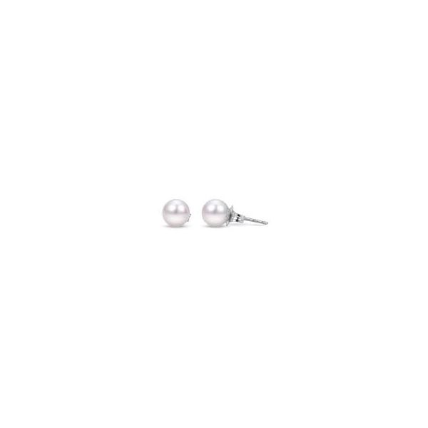 14 Karat White Gold Pearl Earrings Trinity Jewelers  Pittsburgh, PA