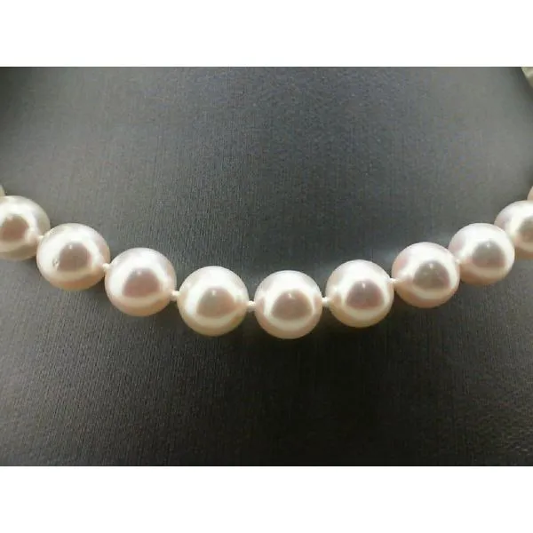 14 Karat Yellow Gold Akoya Pearl Necklace Trinity Jewelers  Pittsburgh, PA