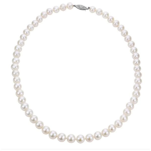 14 Karat White Gold 6-6.5mm Freshwater Pearl Necklace Trinity Jewelers  Pittsburgh, PA