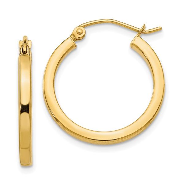 10 Karat Yellow Gold Hoop Earrings Trinity Jewelers  Pittsburgh, PA