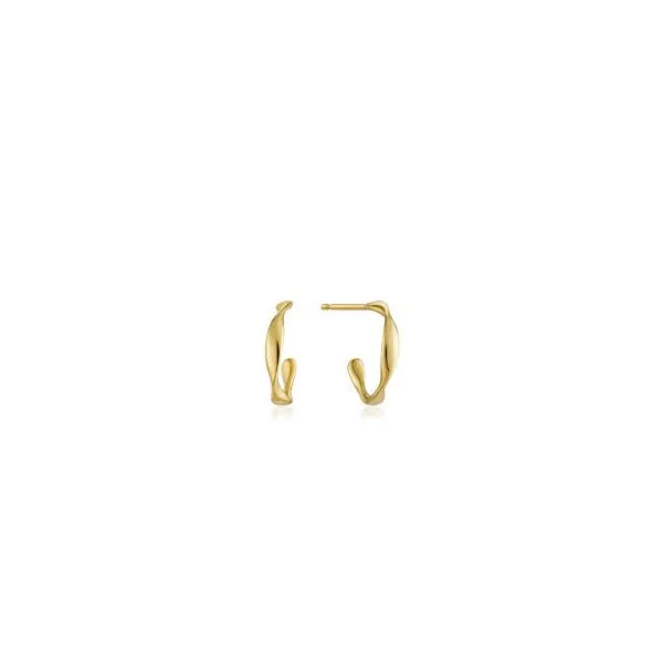 Sterling Silver Earrings Trinity Jewelers  Pittsburgh, PA
