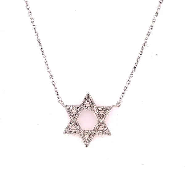Diamond Necklace in 14 Karat White Gold Tzfasman Jewelers Brooklyn, NY
