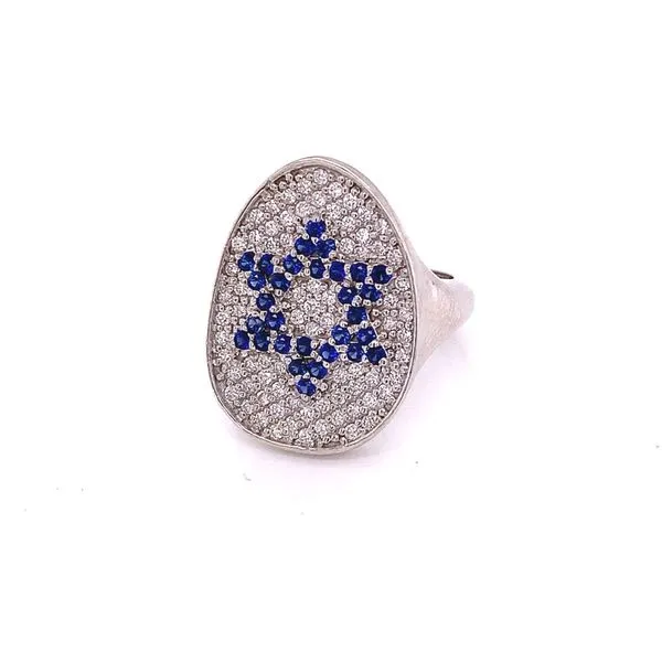 Colored Stone Ring in 14 Karat White Gold Tzfasman Jewelers Brooklyn, NY