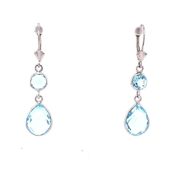 Colored Stone Earrings in 14 Karat White Gold similar item image