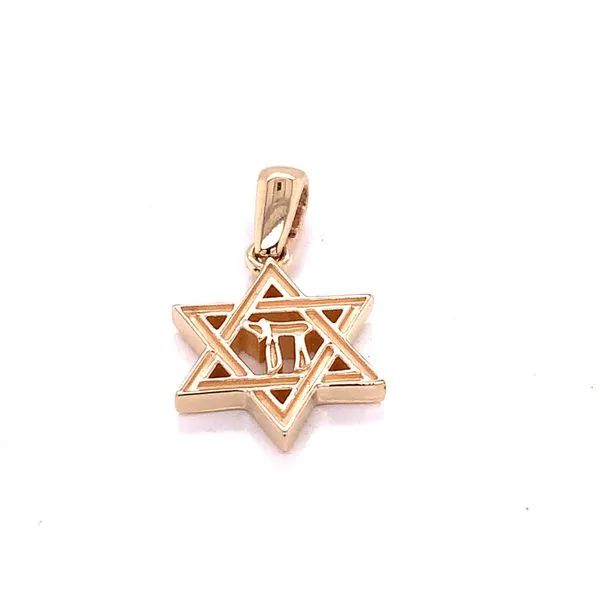 Charm in 14 Karat Yellow Gold 2.5 Grams Tzfasman Jewelers Brooklyn, NY