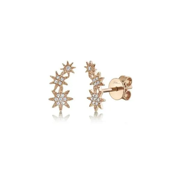DIAMOND EARRINGS/GOLD/PLATINUM Valentine's Fine Jewelry Dallas, PA