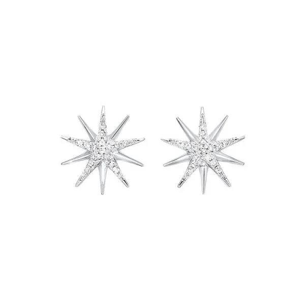 DIAMOND EARRINGS/SILVER/SILVER/GOLD COMBO  Valentine's Fine Jewelry Dallas, PA