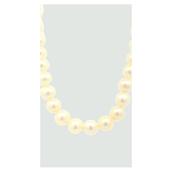 Pearl Pendant Valentine's Fine Jewelry Dallas, PA