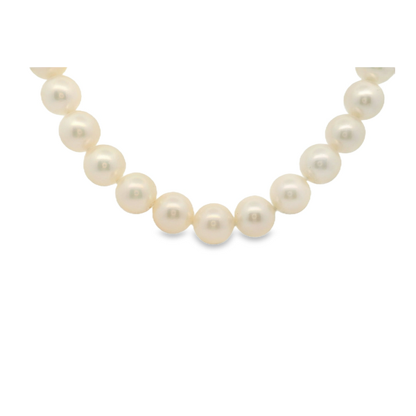 Pearl Pendant Valentine's Fine Jewelry Dallas, PA