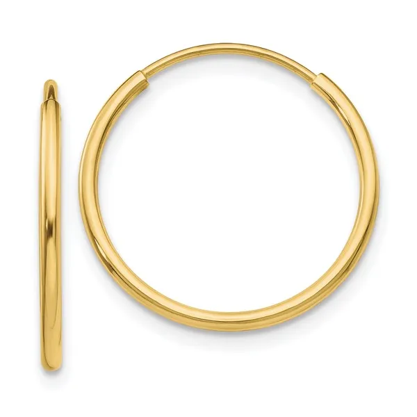 EARRINGS/GOLD/PLATINUM Valentine's Fine Jewelry Dallas, PA