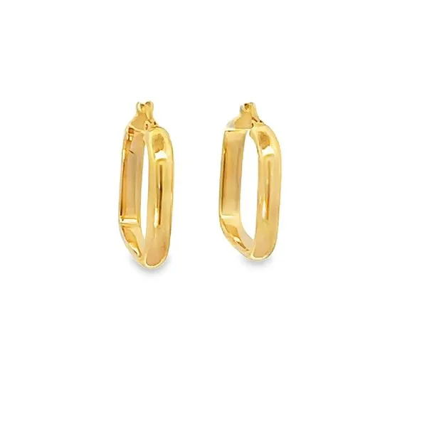 EARRINGS/GOLD/PLATINUM Valentine's Fine Jewelry Dallas, PA
