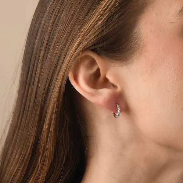 GEMSTONE EARRINGS/SILVER/SILVER/GOLD COMBO Image 2 Valentine's Fine Jewelry Dallas, PA