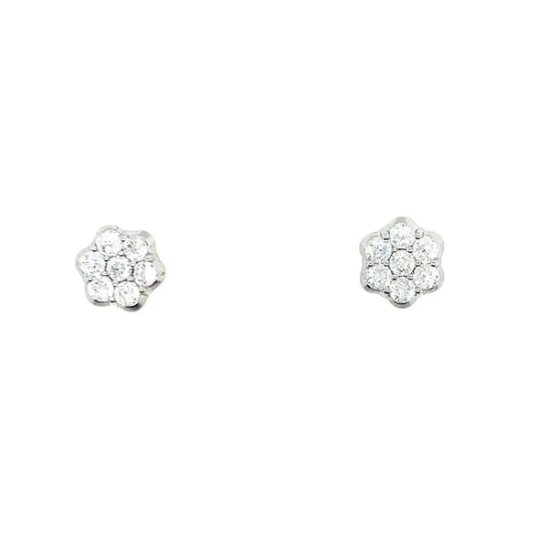 EARRINGS/STERLING SILVER/SS/GOLD COMBO EARRINGS Valentine's Fine Jewelry Dallas, PA