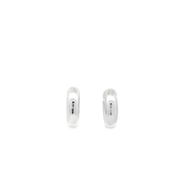 EARRINGS/STERLING SILVER/SILVER/GOLD COMBO Valentine's Fine Jewelry Dallas, PA