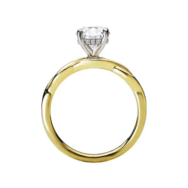 Romance Halo Diamond Engagement Ring Image 2 Van Adams Jewelers Snellville, GA