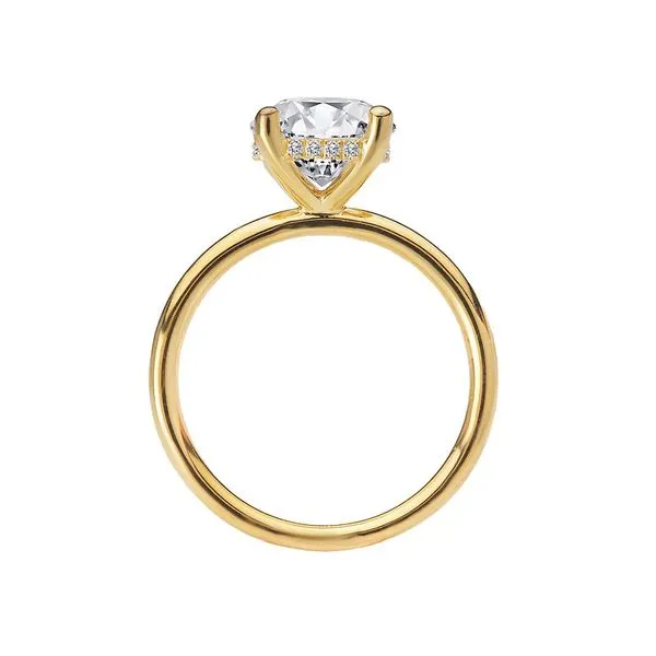 Romance Diamond Hidden Halo Engagement Ring Image 2 Van Adams Jewelers Snellville, GA