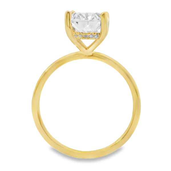 Oval Hidden Halo Engagement Ring Setting Image 2 Van Adams Jewelers Snellville, GA