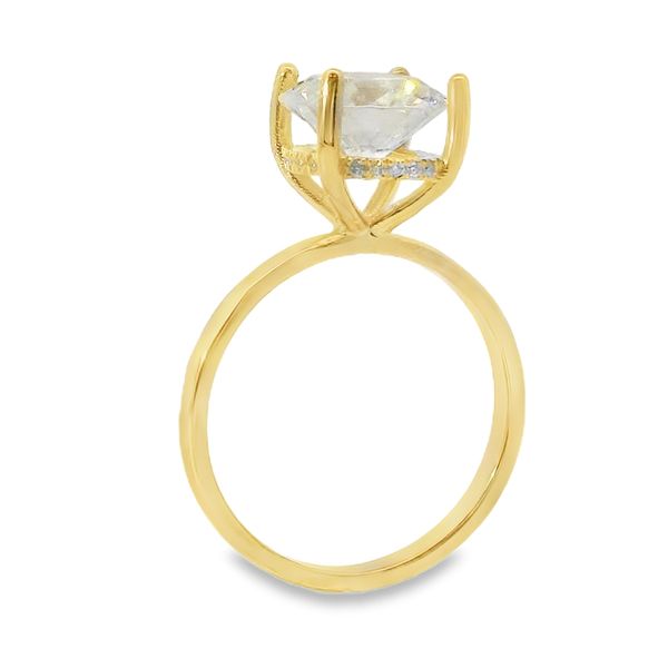 Round Hidden Halo Engagement Ring Setting Image 2 Van Adams Jewelers Snellville, GA