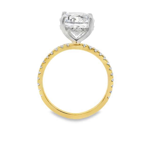 Diamond Engagement Ring Setting with Hidden Halo Image 3 Van Adams Jewelers Snellville, GA