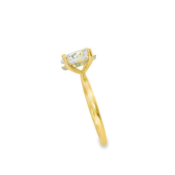 14K Yellow Gold Lab Grown Diamond Hidden Halo Setting Image 2 Van Adams Jewelers Snellville, GA