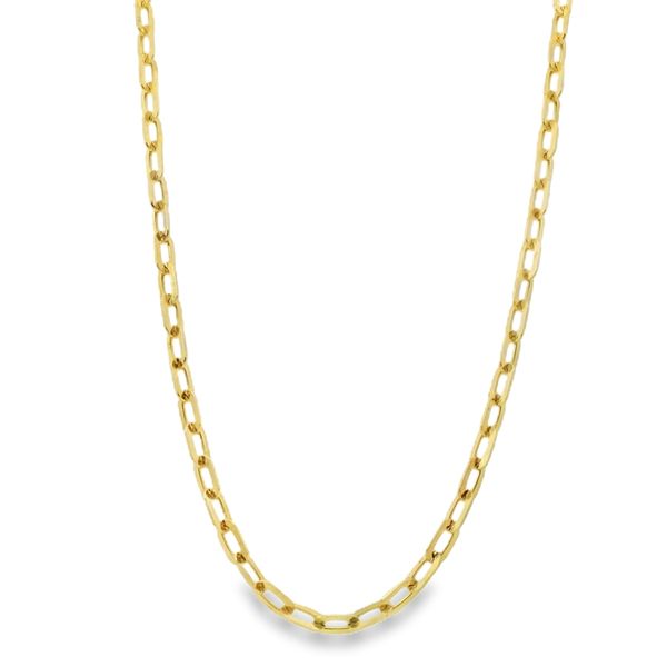 14K Yellow Gold Paper Clip Chain Van Adams Jewelers Snellville, GA